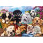 Puzzle 500 piéces équipe de chiens Puzzle 500 piéces équipe de chiens