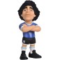 Figurine Argentine Diego Maradona N° 10D