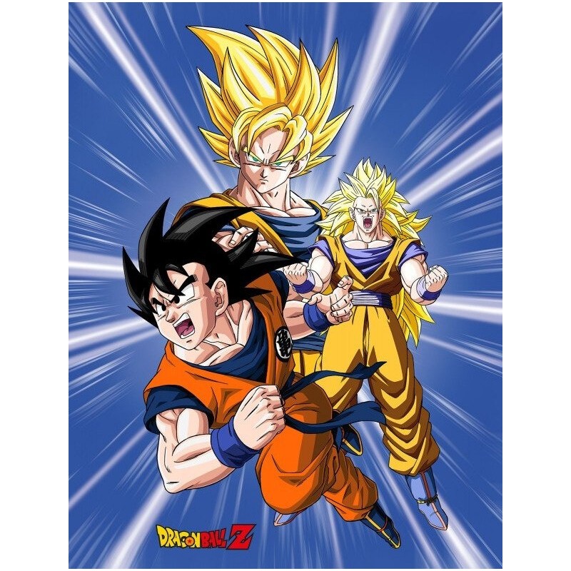 Plaid polaire Dragon ball z