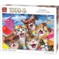 Puzzle 1000 piéces équipe de chats selfie
