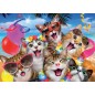 Puzzle 1000 piéces équipe de chats selfie
