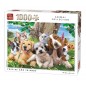 Puzzle 1000 piéces équipe de chiens et chats