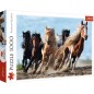 Puzzle 1000 piéces chevaux au galop