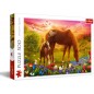 Puzzle chevaux dans le pré 500 piéces