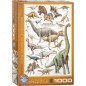 Puzzle 1000 piéces Dinosaure