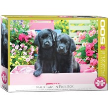 Puzzle 500 piéces Black labs pink