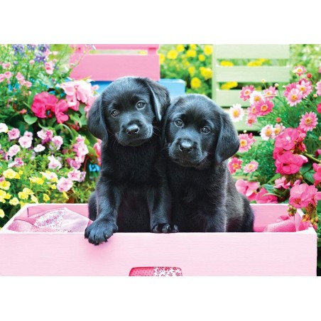 Puzzle 500 piéces Black labs pink