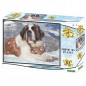 Puzzle 3d Saint Bernard 100 piéces