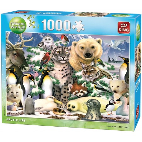 PUZZLE ANTARTIC 1000 Pièces